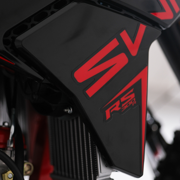 rs_300